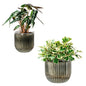 Melphoe Self Watering Pots for Indoor Plants Planter, 4.3 Inch 2 Pack Planters Self Watering Plant Pots for Flower, Houseplants, Succulent, African Violets and Cactus with Drainage
