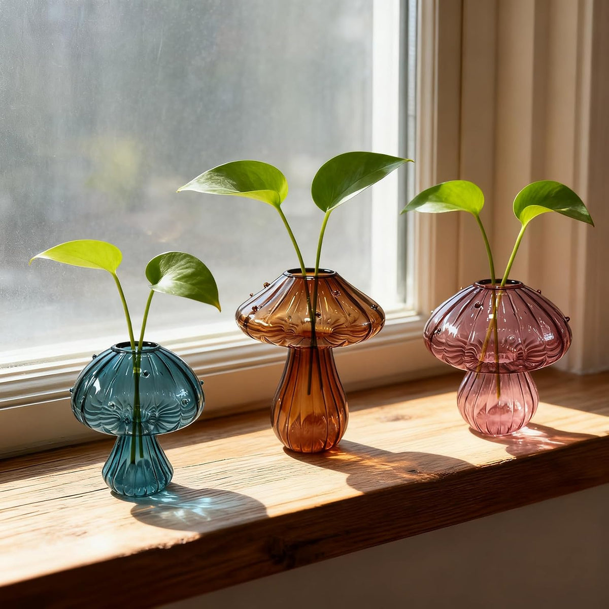 Glass Mushroom Vase Propagation Planter - Set of 3 Propagation Stations