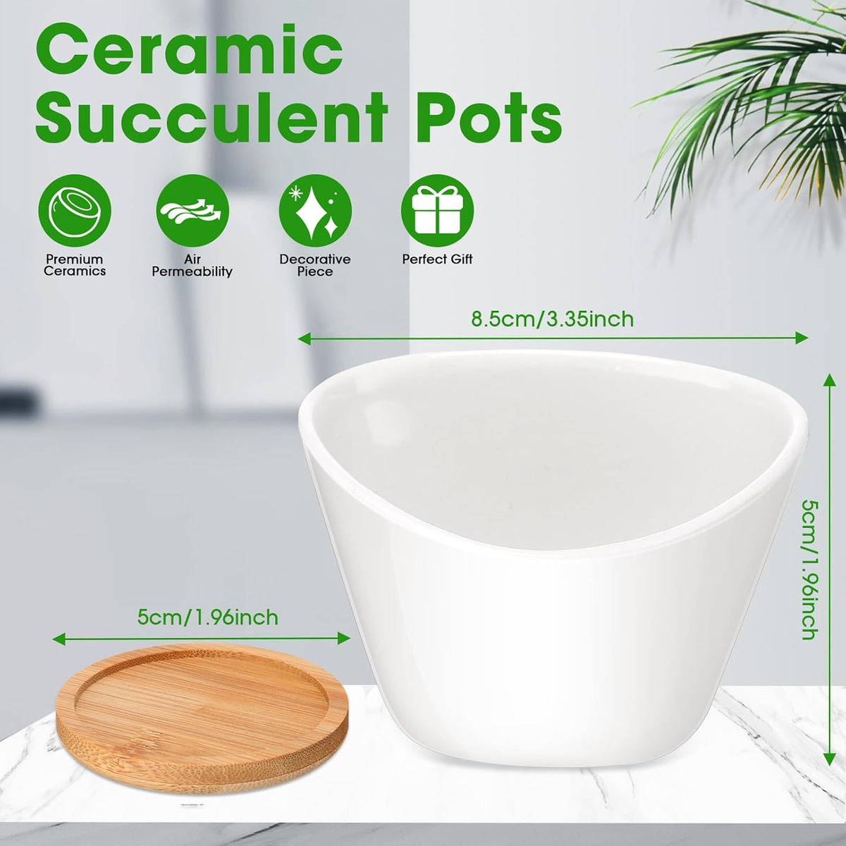 Domensi 24 Pack Small Succulent Pots, Mini Ceramic Succulent Planter, White