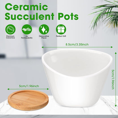 Domensi 24 Pack Small Succulent Pots, Mini Ceramic Succulent Planter, White