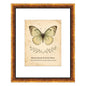 XUANLUO 5x7 Picture Frames Set of 4,Rustic Retro Photo Frame(Multicolor)