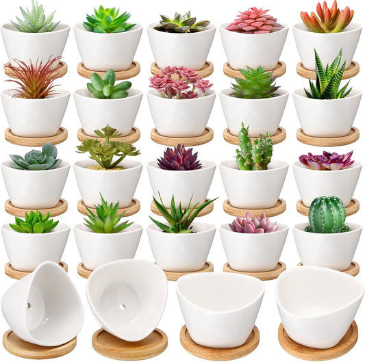 Domensi 24 Pack Small Succulent Pots, Mini Ceramic Succulent Planter, White