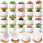Domensi 24 Pack Small Succulent Pots, Mini Ceramic Succulent Planter, White
