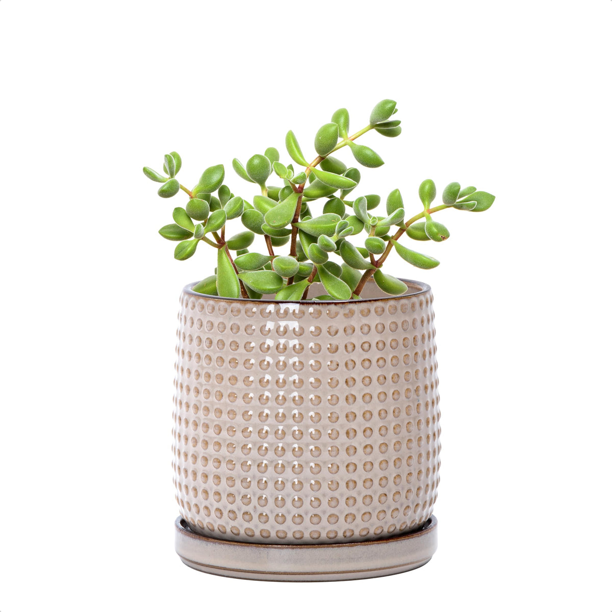D'vine Dev Beaded Ceramic Pot with Saucer, 4 in, Midnight Blue, 27-C-Z-3