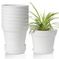 T4U Small Plant Pots 4 Inch 8 Pack, Plastic Indoor Flower Pots Saucer White
