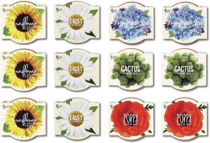 BUZZY Seeds Daydream Grow Kit 12-Pack, Terracotta Pots, Assorted Flowers