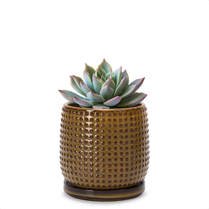 D'vine Dev Beaded Ceramic Pot with Saucer, 4 in, Midnight Blue, 27-C-Z-3