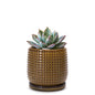 D'vine Dev Beaded Ceramic Pot with Saucer, 4 in, Midnight Blue, 27-C-Z-3