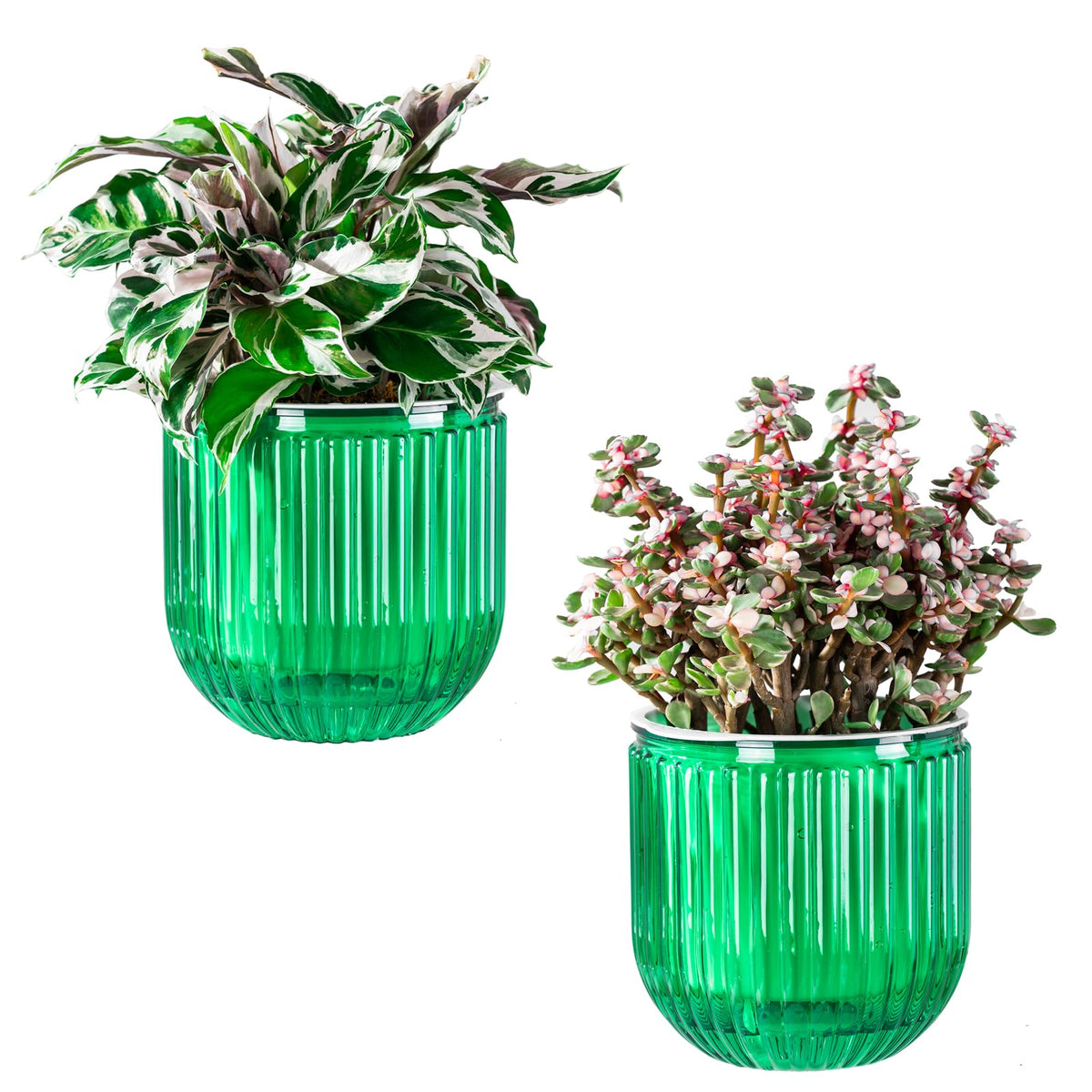 Melphoe Self Watering Pots for Indoor Plants Planter, 4.3 Inch 2 Pack Planters Self Watering Plant Pots for Flower, Houseplants, Succulent, African Violets and Cactus with Drainage