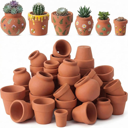 Maxdot 36 Pcs Small Terracotta Pot Tiny Clay Pots Bulk, 1.34 Inch, 6 Style