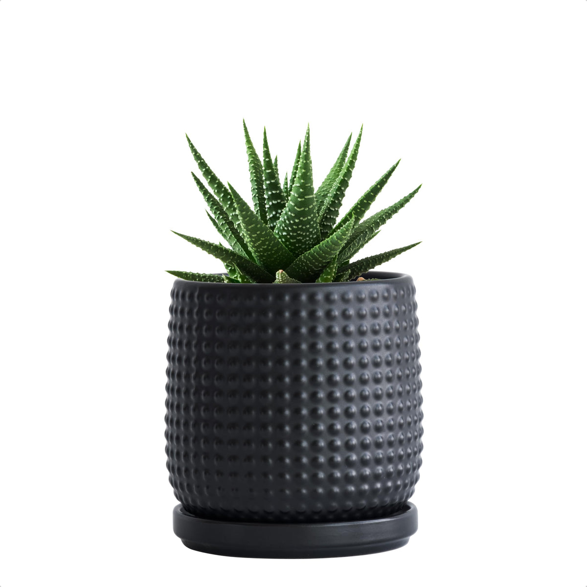 D'vine Dev Beaded Ceramic Pot with Saucer, 4 in, Midnight Blue, 27-C-Z-3