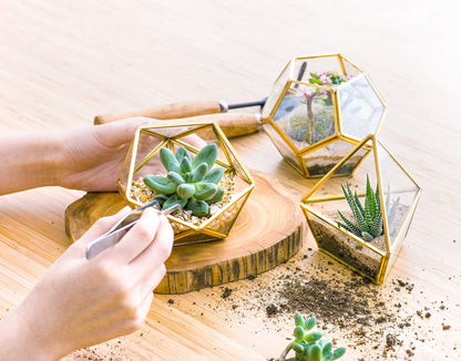 Mkono 3 Pack Geometric Glass Terrarium, 4" Gold Air Plant Holder Tabletop