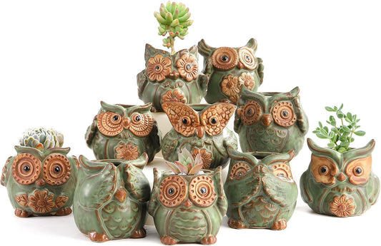 TOPZEA 10 Pack Succulent Planter Pots with Drainage Hole, Cute Owl Ceramic Small Planters Animal Tiny Flower Plant Pots Containers Indoor for Cactus, Herb, Home, Garden, Windowsill, Coffee Table Decor