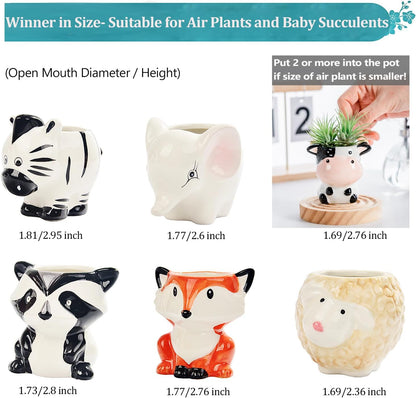 Melphoe 6Pcs Air Plant Holder Cartoon Shaped Small Succulent Pots Animal Planters Small Ceramic Pot Drainage for Mini Plant Cactus Flower, Tillandsia Air Fern, Display Stand Home, Office Desktop