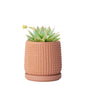 D'vine Dev Beaded Ceramic Pot with Saucer, 4 in, Midnight Blue, 27-C-Z-3