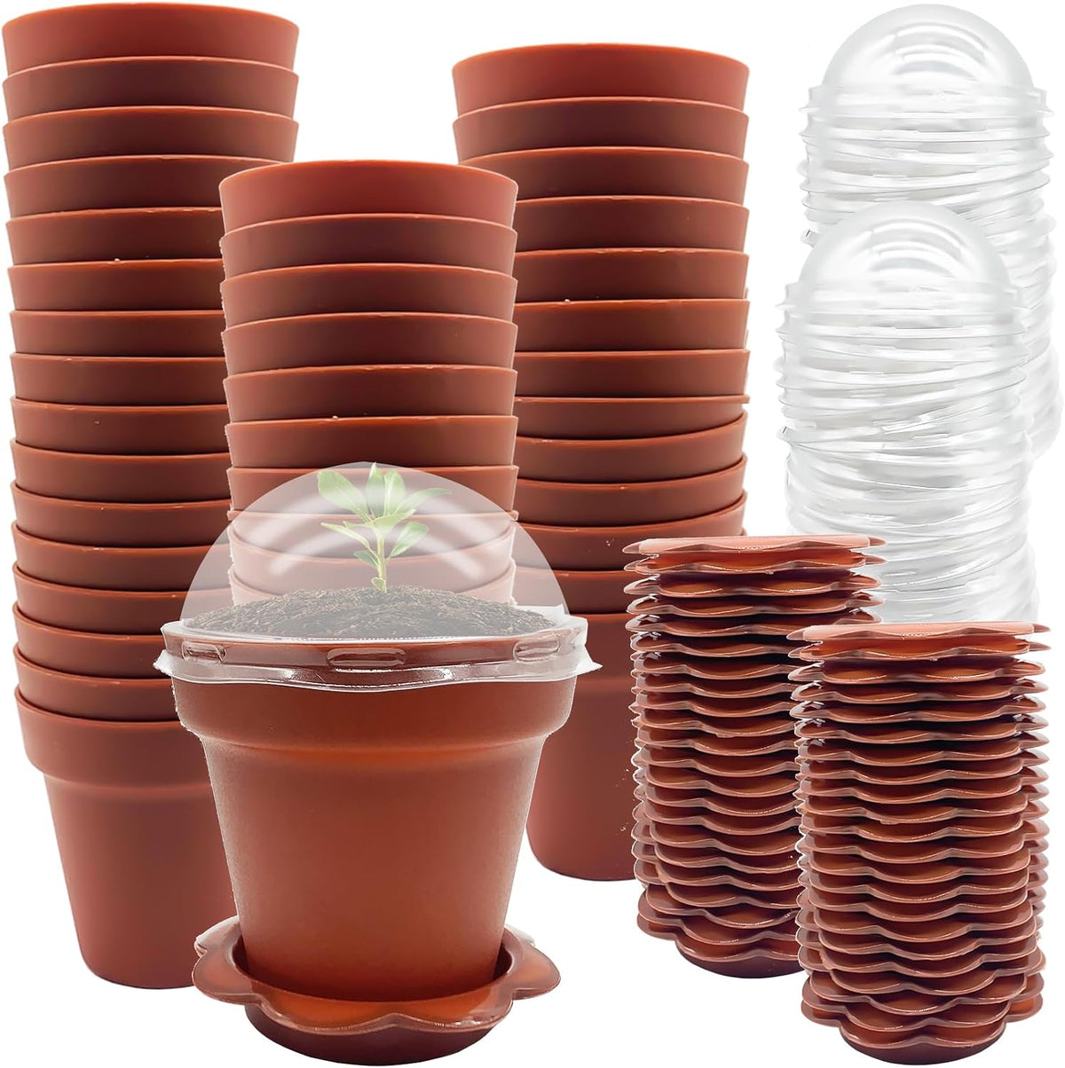 PURPLE STAR 1N 50 Packs Cupcake Plant Nursery Pots with Humidity Dome- Planting Containers Cups- Small Flower Pots with Trays & Lids for Indoor Outdoor Seedling Succulent Vegetable (Wine Red)