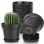 T4U Small Plant Pots 4 Inch 8 Pack, Plastic Indoor Flower Pots Saucer White