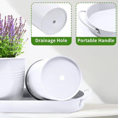 Small Pots for Plants, 3-Pack 4.7 Inch White Metal Herb Pots, Mini Windowsill Planter for Succulent, Cactus, Basil, Mint, Rosemary
