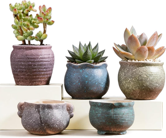 Small Ceramic Succulent Pots for Indoor Plant, 3 Inches Vintage Mini Flower Pots Set of 5, Round Tiny Planters with Drainage Holes (Multicolored Dots)