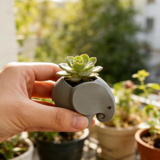 Mini Elephant Succulent Planter, Small Animal Shaped Flower Pot for Cactus & Air Plants, Desk, Home, Office & Windowsill Decoration Pot