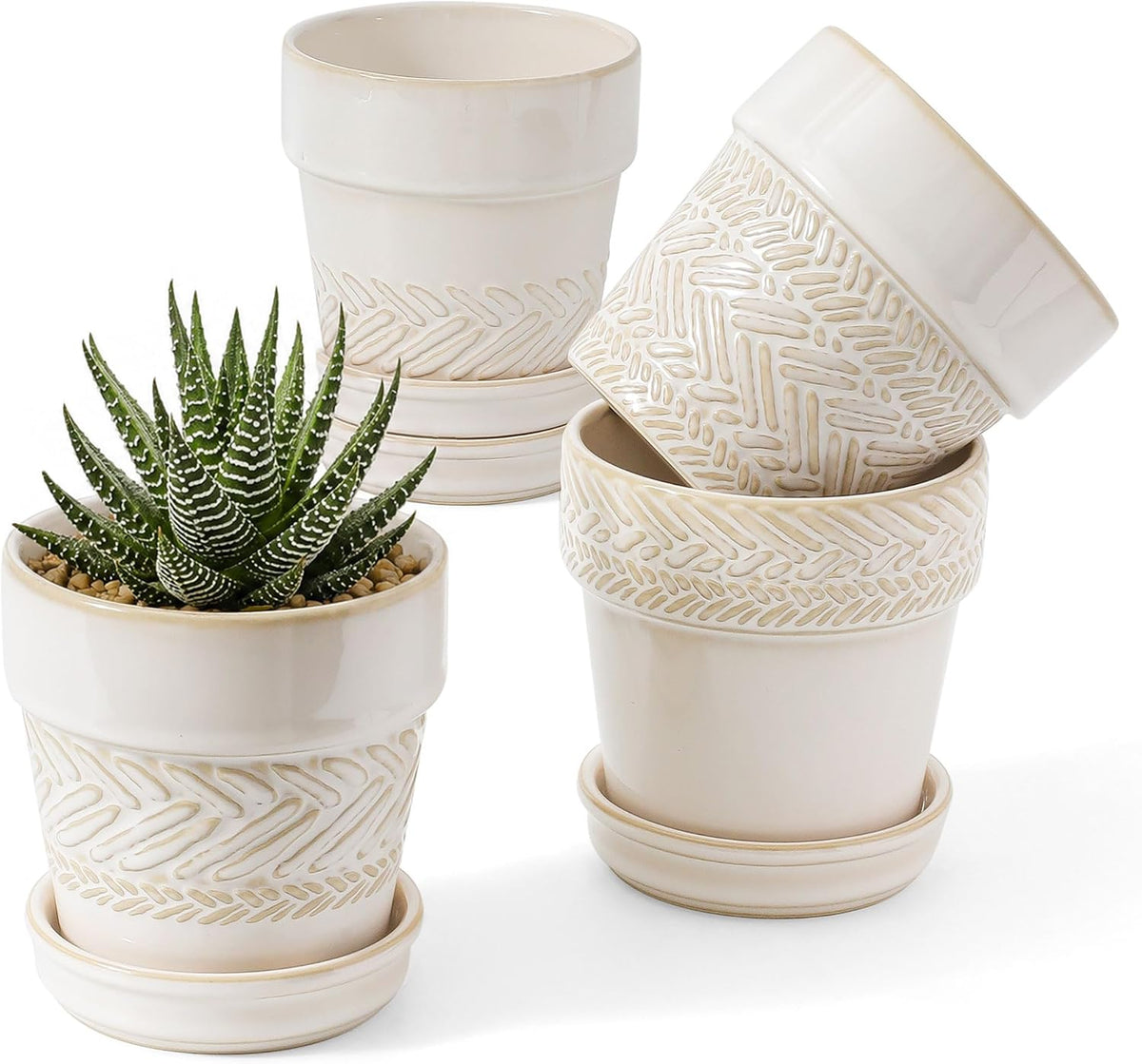 Fayoula Succulent pots,Indoor Small Succulent Bonsai,3 Inch Mini Ceramic Succulent Pots with Saucer and Drainage Hole, Decorative Planter for Succulent, Cactus, Set of 4.