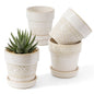 Fayoula Succulent pots,Indoor Small Succulent Bonsai,3 Inch Mini Ceramic Succulent Pots with Saucer and Drainage Hole, Decorative Planter for Succulent, Cactus, Set of 4.