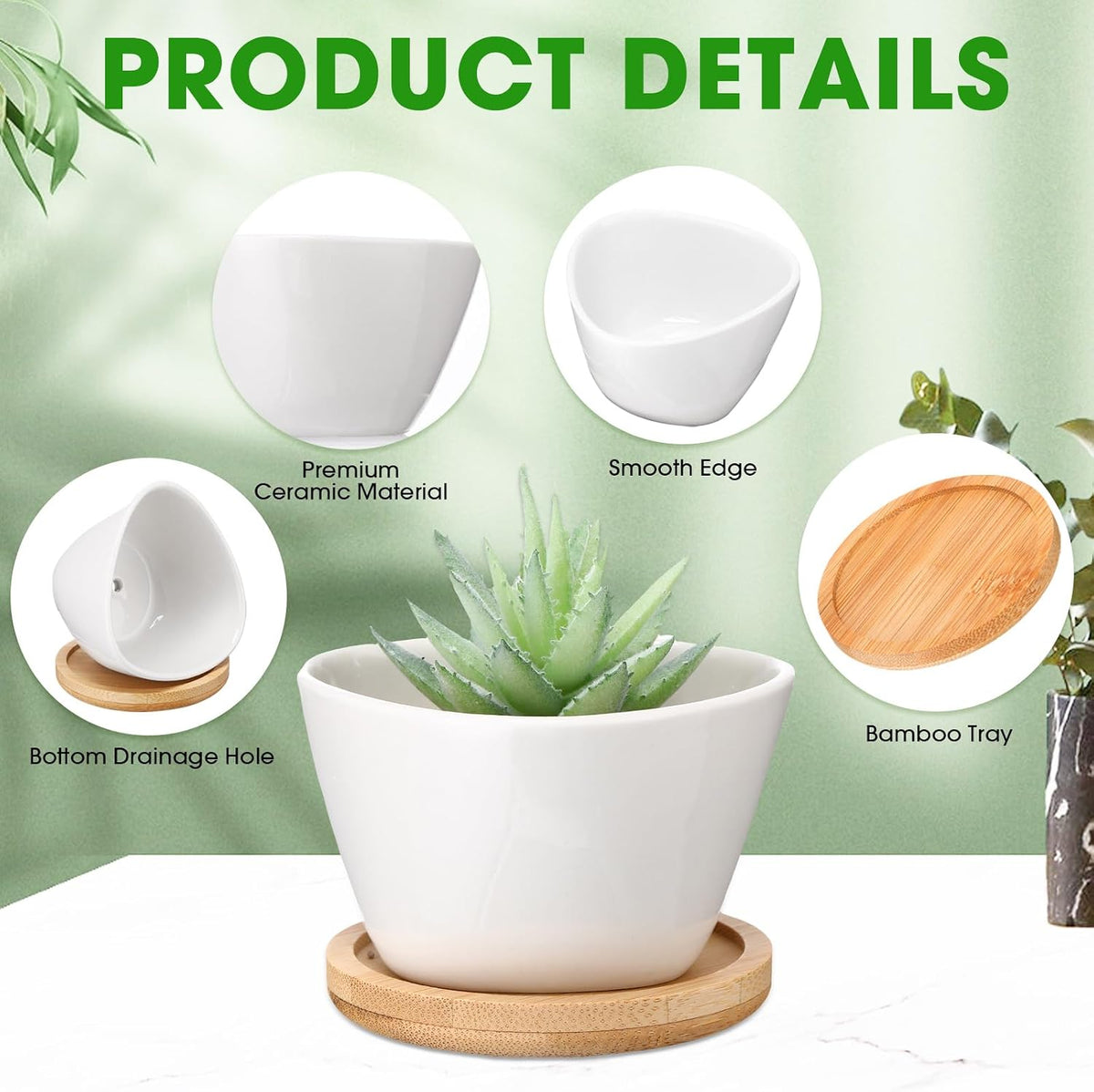 Domensi 24 Pack Small Succulent Pots, Mini Ceramic Succulent Planter, White