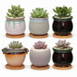 2.1 Inch Ceramic Small Succulent Pot,Plant Pots,Mini Flower Pots