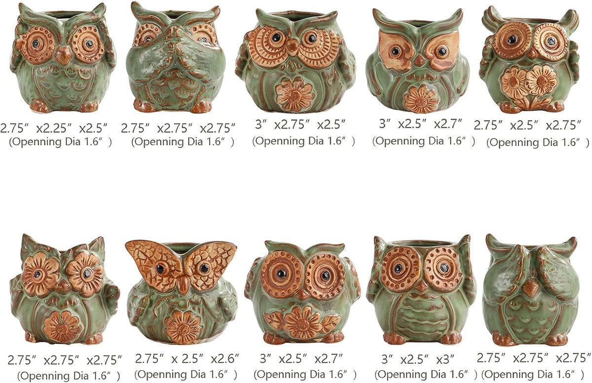 TOPZEA 10 Pack Succulent Planter Pots with Drainage Hole, Cute Owl Ceramic Small Planters Animal Tiny Flower Plant Pots Containers Indoor for Cactus, Herb, Home, Garden, Windowsill, Coffee Table Decor
