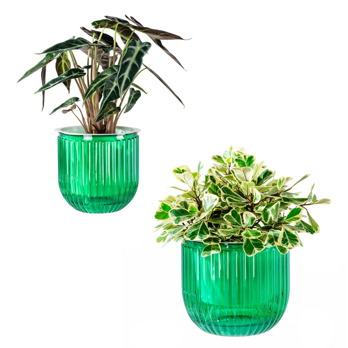 Melphoe Self Watering Pots for Indoor Plants Planter, 4.3 Inch 2 Pack Planters Self Watering Plant Pots for Flower, Houseplants, Succulent, African Violets and Cactus with Drainage