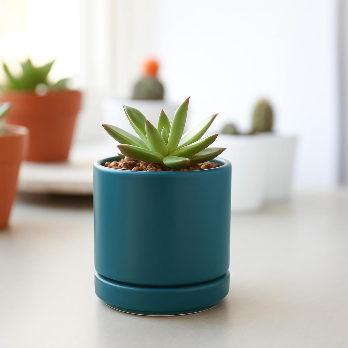 D'vine Dev 3.5 Inch Ceramic Planter Pot, Teal, 94-O-A-9