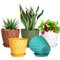 Meowell 4 inch Small Plastic Nursery Pots, 5 Pack Water Ripples Plant Pots for Indoor Plants, Flower Pots with Drainage Holes and Saucers, Seedling Starter Planters for Succulent Plants, White