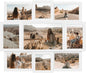 J.M.Deco Arched Collage Picture Frames Wall for Decor 9 Pieces 4 x 6 Photos