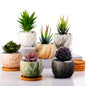 Ziliny Marbling Ceramic Flower Pot 3.35 Inch Succulent Small Plant Cactus Herbs Planter Ceramic Pot with Drainage Hole Matte Round Container(6 Pcs,Elegance Style)