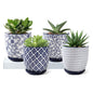 3.5 Inch Ceramic Small Succulent Planter Pots Set of 4