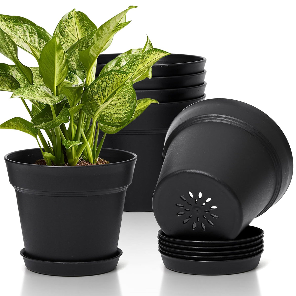 T4U Small Plant Pots 4 Inch 8 Pack, Plastic Indoor Flower Pots Saucer White