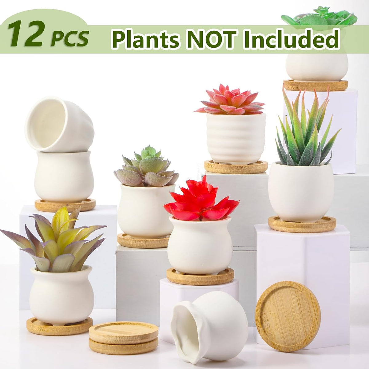 Remerry 12 Pcs 2.5 Inch Mini DIY Ceramic Succulent Pots with Bamboo Tray