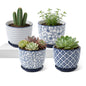 3.5 Inch Ceramic Small Succulent Planter Pots Set of 4