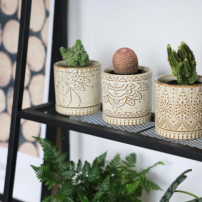 Gepege Ceramic Succulent Pots, 4 Inch Small Plant Pots with Drainage