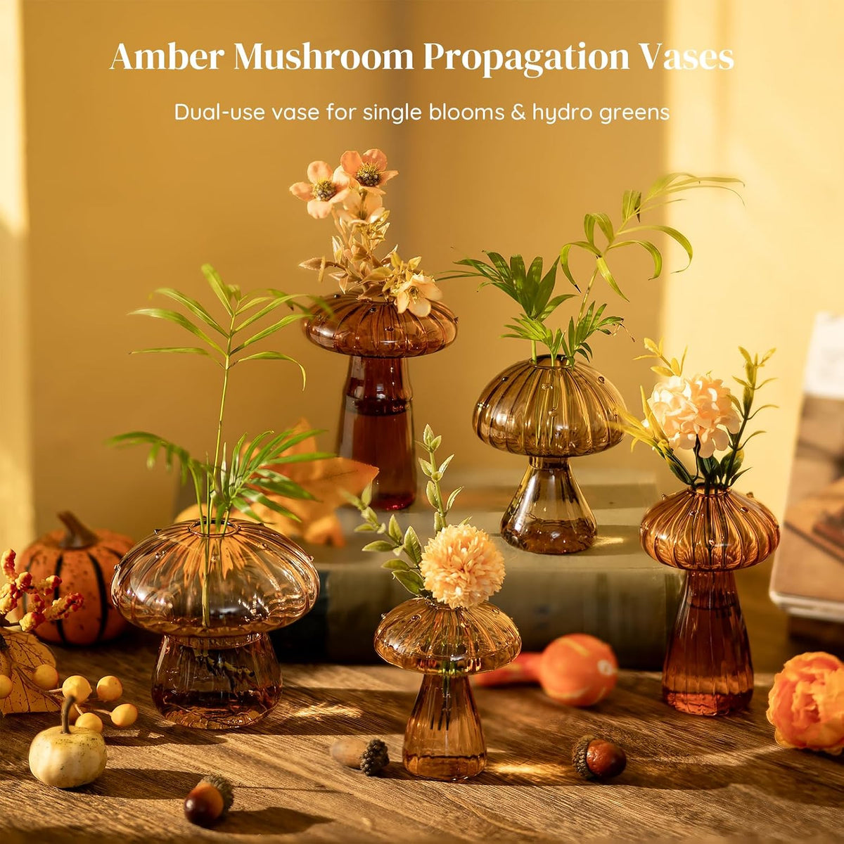 Glasseam Mushroom Plant Propagation Station, Small Glass Propagation Vases