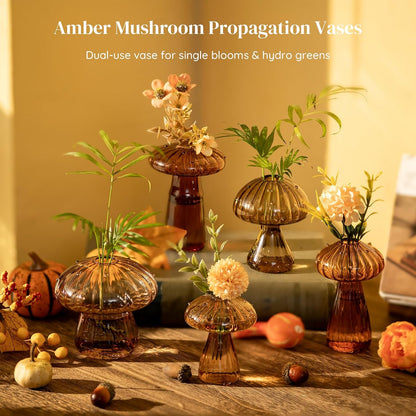 Glasseam Mushroom Plant Propagation Station, Small Glass Propagation Vases