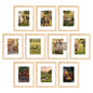 upsimples 4x6 Picture Frame, Photo Collage Wall Decor Set of 10, Black