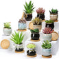 Remerry 24 Pcs Ceramic Succulent Pots 2.5 Inch with Drainage Bamboo Tray