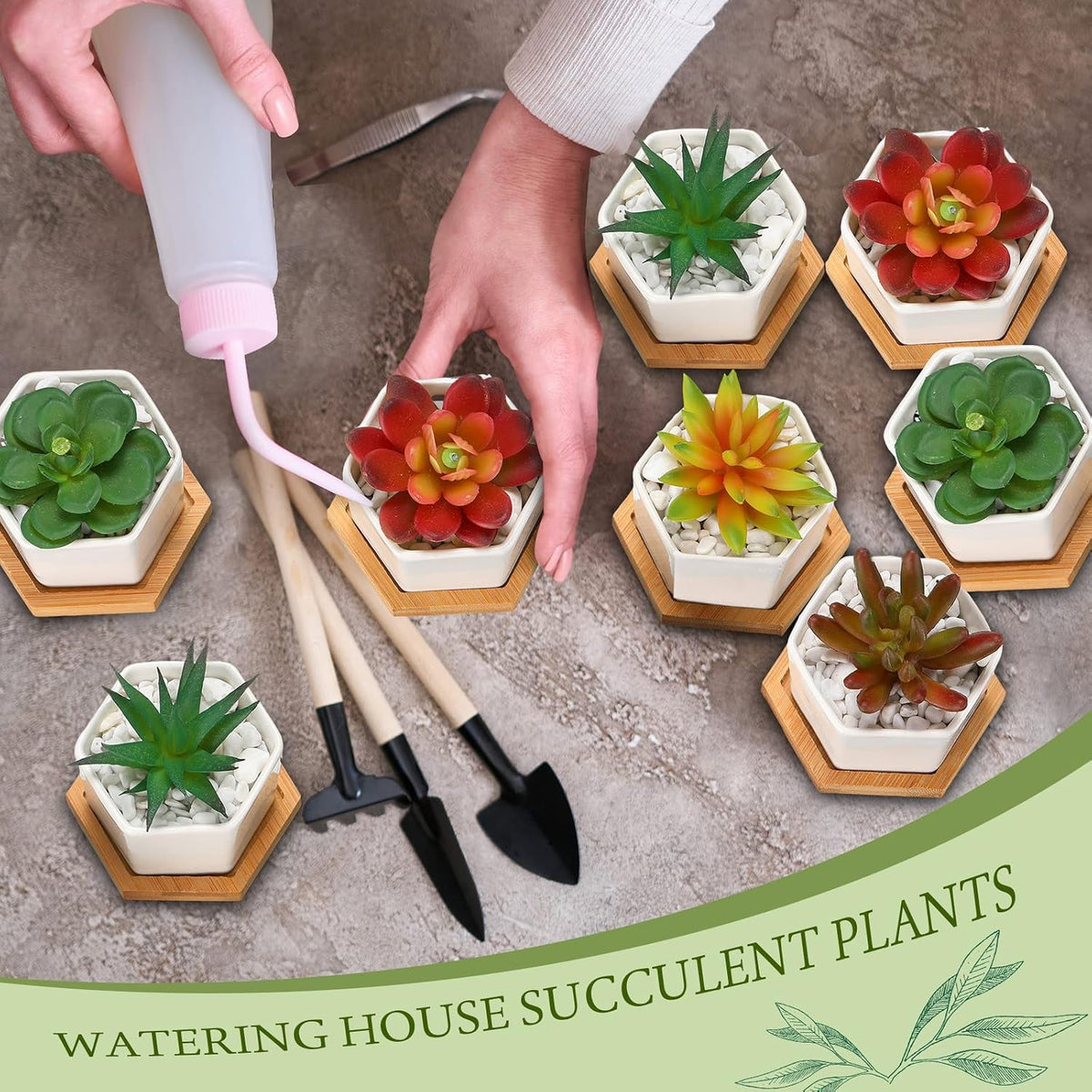 Gerrii Succulent Pots Mini White Ceramic Flower Planter Pot Succulent Planters with Wooden Trays and Drainage Holes for Plants Cactus Home Office Decoration, Plants Not Included(24 Pcs)