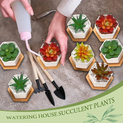 Gerrii Succulent Pots Mini White Ceramic Flower Planter Pot Succulent Planters with Wooden Trays and Drainage Holes for Plants Cactus Home Office Decoration, Plants Not Included(24 Pcs)