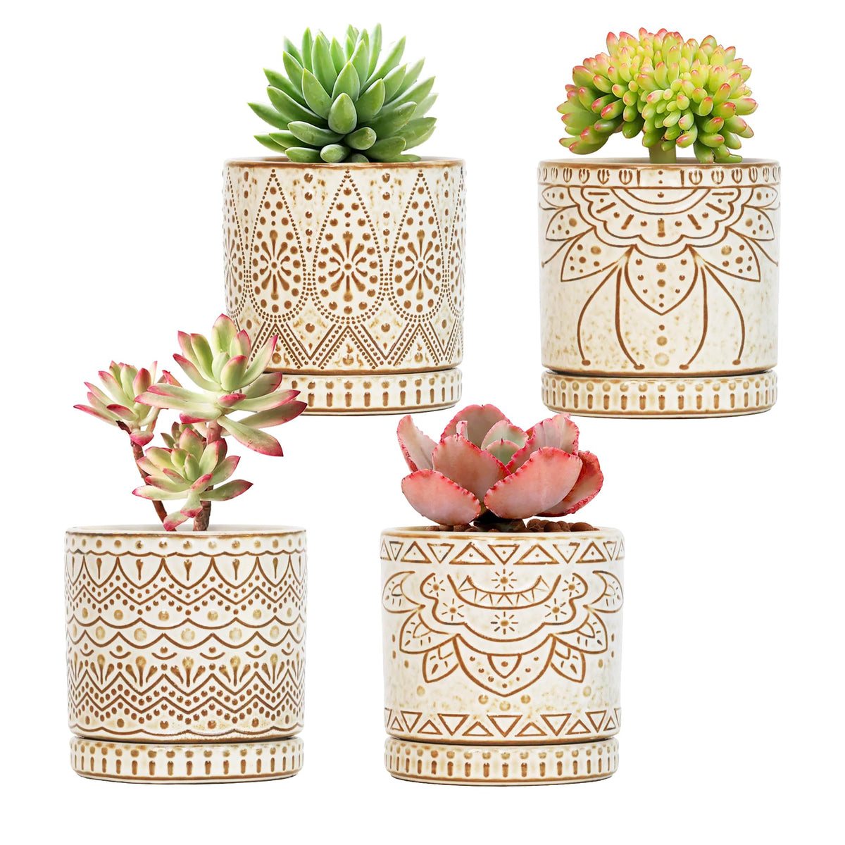 Gepege Ceramic Succulent Pots, 4 Inch Small Plant Pots with Drainage