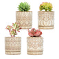 Gepege Ceramic Succulent Pots, 4 Inch Small Plant Pots with Drainage