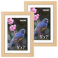 FIXSMITH 10 Pack Picture Frames Collage Wall Decor for Mounting or Tabletop Display, Gallery Wall Frame Set with Two 8x10 Black Frames, Four 5x7 Frames and Four 4x6 Frames, Multi-Pack Photo Frame Set