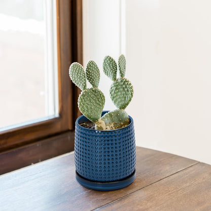 D'vine Dev Beaded Ceramic Pot with Saucer, 4 in, Midnight Blue, 27-C-Z-3