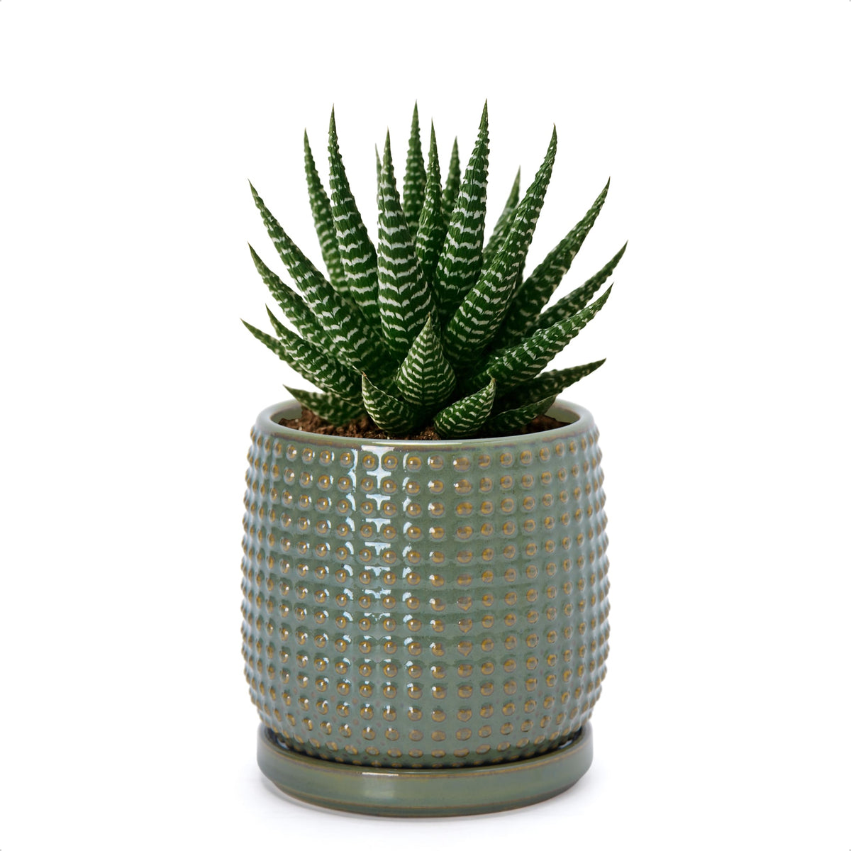 D'vine Dev Beaded Ceramic Pot with Saucer, 4 in, Midnight Blue, 27-C-Z-3